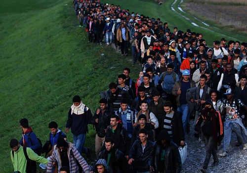 Będą protestować przeciwko masowej imigracji
