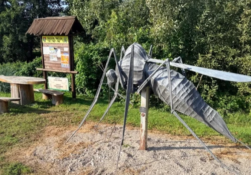 Niezgoda. Mała wieś, a znajdziesz tu więcej, niż się spodziewasz