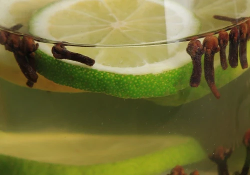 Naukowcy zbadali popularną przyprawę. Mogą pomóc w antybiotykoterapii
