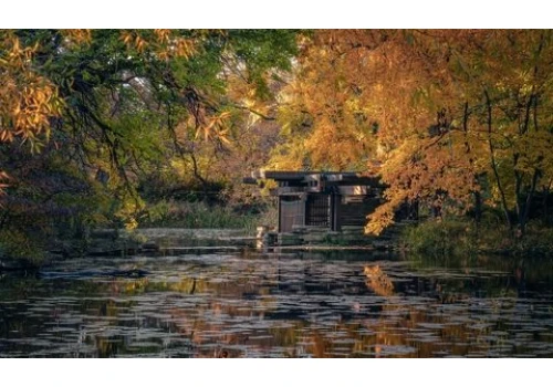 Ukryte Chicago – Alfred Caldwell Lily Pool