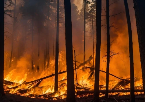 Hiszpania chce utworzenia specjalnego unijnego funduszu. Ma pomóc w adaptacji do zmiany klimatu.