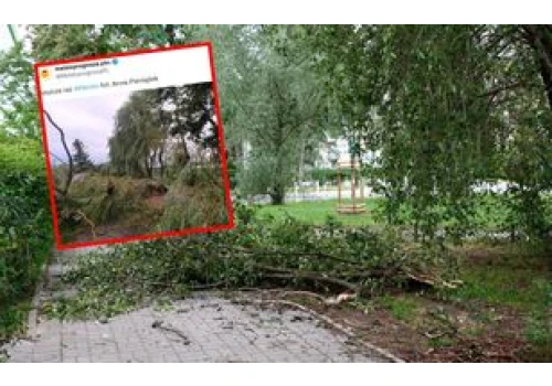 Trąba powietrzna w Wielkopolsce? Strażacy mają setki zgłoszeń