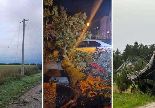 Powalone drzewa, zerwane dachy i linie energetyczne. Wichury w Wielkopolsce