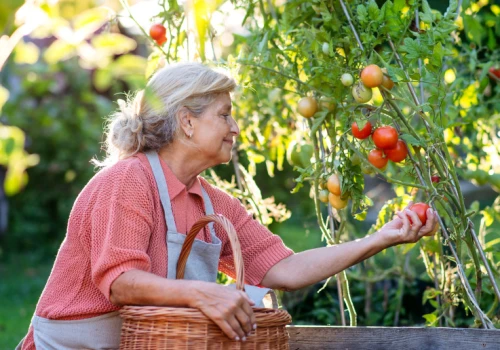 Nie chcą zamykać seniorów w ośrodku. Dają im gospodarstwo, zwierzęta i ogród