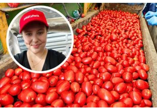 Wskoczyłam na kombajn w Pudliszkach. W tej wsi od wieku powstaje kultowy ketchup
