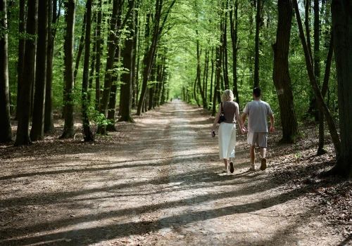 Ponad 5 kg czystego złota ukryte w lesie. Znalazcy dostaną zawrotną nagrodę