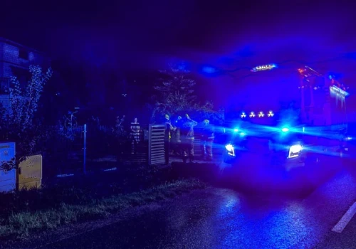 Pies potrzebował pomocy. Pomogła straż.