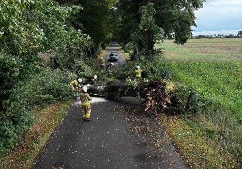 Ponad 1150 interwencji straży pożarnej po przejściu frontu