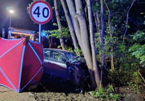 27-letnia kobieta nie żyje. 18-latek za kierownicą audi.