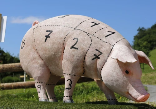 Argentyna zwiększyła eksport wieprzowiny o prawie 88% rdr. Padł rekord z 5 lat