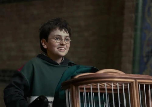 Magia wciąż działa. Zwiastun nowego „Harry’ego Pottera” przypomniał mi, dlaczego kocham te książki
