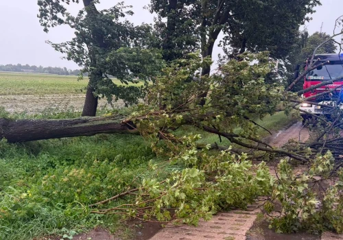 Skutki burzy na Pomorzu. Kilkadziesiąt interwencji