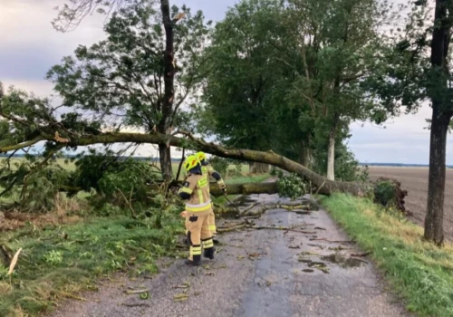 Drzewa poleciały na drogi. Silny wiatr dał we znaki
