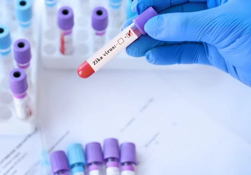 Komar przenoszący śmiertelny wirus Zika rozmnożył się w UK po raz pierwszy