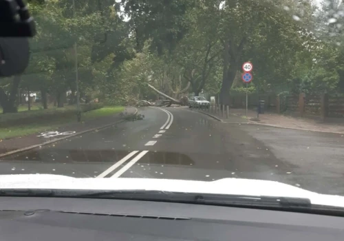 Wichury nad Pomorzem Zachodnim. Najwięcej interwencji w Koszalinie