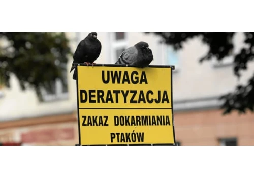Śmierć zwierzęcia złapanego przez lep na gryzonie jest straszna. Te pułapki powinny być zakazane