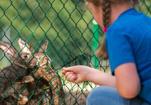 3-latka głaskała zwierzęta w mini zoo. Kilka tygodni później zmarła