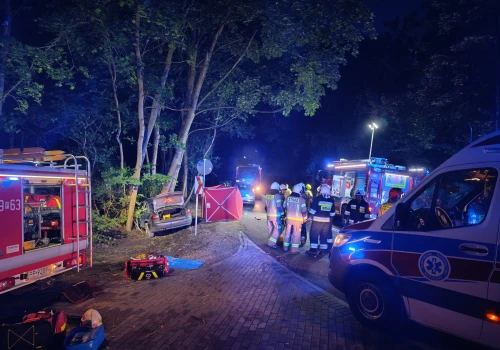 Pięć osób w samochodzie, tragiczny finał. Auto wypadło z drogi i uderzyło w drzewo