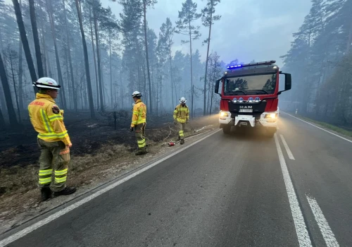 Blisko 980 tys. zł strat po pożarze Puszczy Solskiej