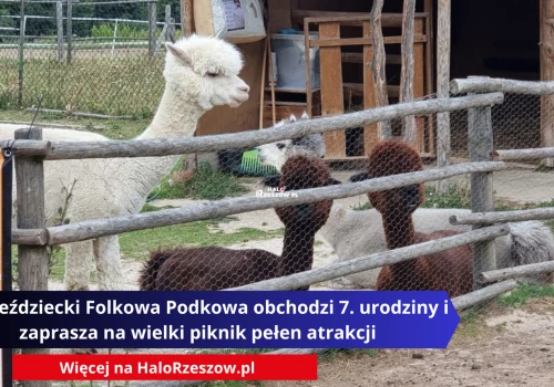 Klub Jeździecki Folkowa Podkowa obchodzi 7. urodziny i zaprasza na wielki piknik pełen atrakcji