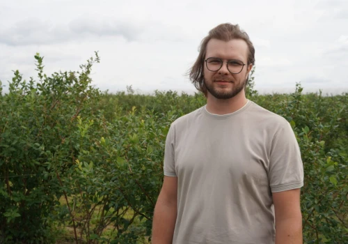 Borówka po trudnym sezonie. Marceli Dubczyk: „Największym problemem stają się ludzie do zbioru”