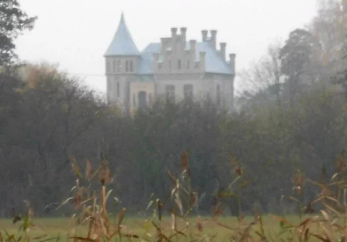 Stary pałacyk wystawiony na sprzedaż. Od lat czeka na kupca