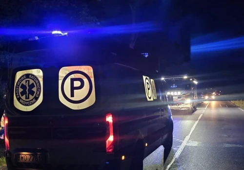 Zderzenie z dzikim zwierzęciem na DK-50. Uszkodzone auto, poszkodowani i ruch wahadłowy