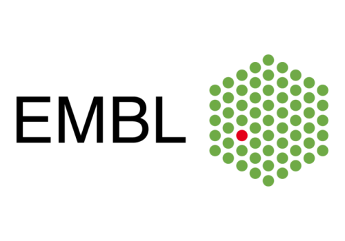 Czy w Polsce powstanie ośrodek EMBL?