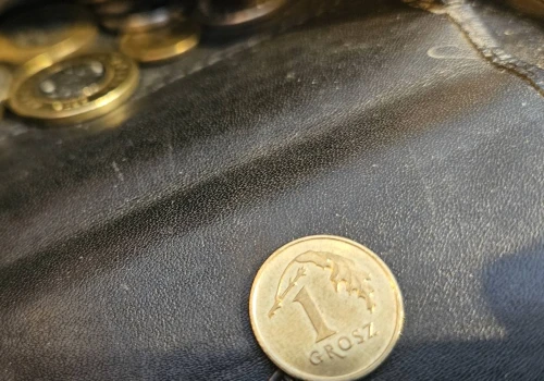 Moneta o nominale 99 groszy? Brzmi absurdalnie, a rozwiązałaby problem milionów Polaków