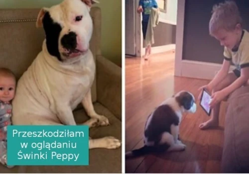 Jeśli sądzisz, że twoje dziecko nie potrzebuje psa, to te zdjęcia mogą cię przekonać