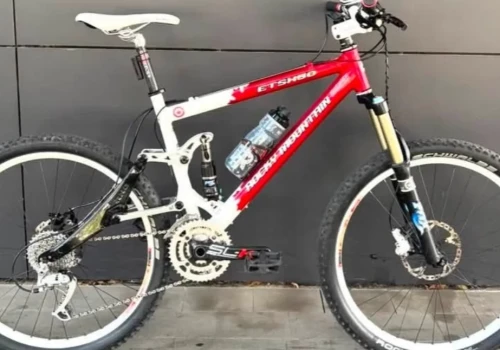 3 tys. zł nagrody. Z posesji zniknął unikatowy rower