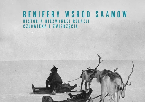 Renifer wśród Saamów. Historia niezwykłej relacji człowieka i zwierzęcia