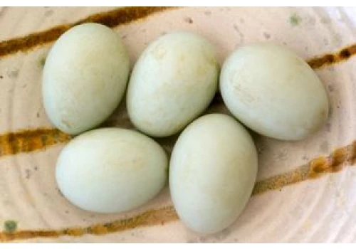 Przed laty każdy znał smak tych jajek. Dziś wielu się dziwi, że są jadalne