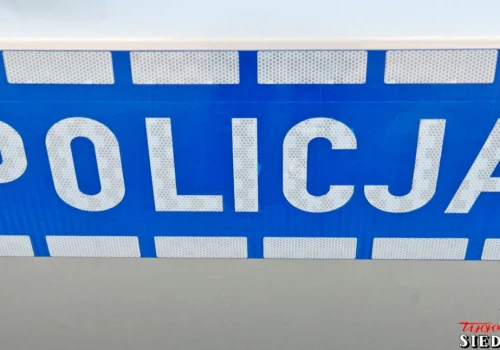 15-latka chciała sprzedać książki. Oszust ukradł z konta jej mamy 4 tys. zł