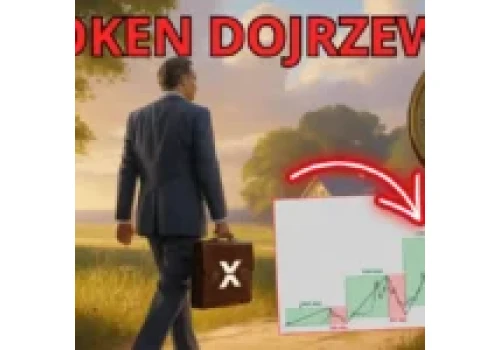 XRP po 1000 USD? Analityk kryptowaluty twierdzi, że gra dopiero się zaczyna