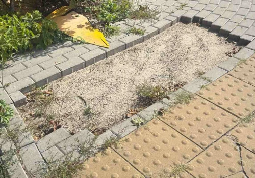Miejskie inwestycje tak mu się spodobały, że zabrał je do domu