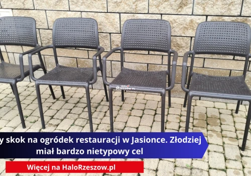Nocny skok na ogródek restauracji w Jasionce. Złodziej miał bardzo nietypowy cel