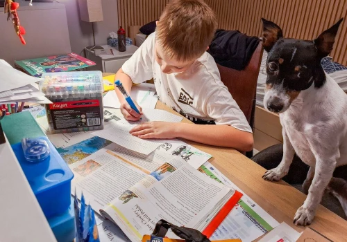 Co Polacy sądzą o braku prac domowych? 49 proc. nie popiera reformy