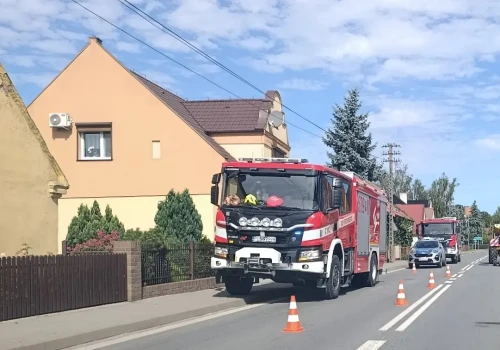 Interwencja strażaków na posesji. Mieszkaniec chciał samemu to usunąć