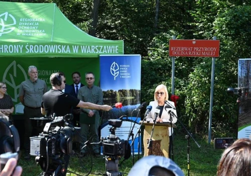 Powstał nowy rezerwat pod Warszawą. Dolina Rzeki Małej zachwyca