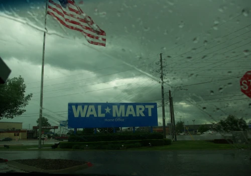 Twórca narzędzia Code Puppy odchodzi z Walmartu do startupu Pydantic
