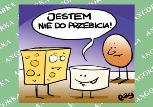 Naukowcy wybrali najlepsze źródło białka. Tofu pokonało mięso i sery