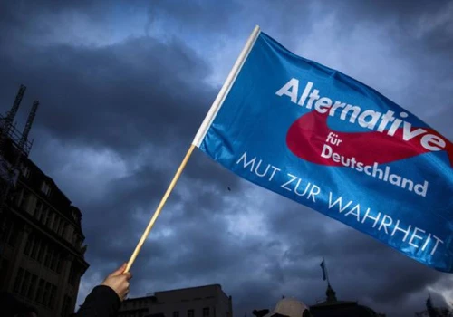 AfD mówi głośno to, czego inni boją się powiedzieć