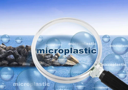 Mikroplastik przenosi chemię, patogeny i geny oporności na antybiotyki?