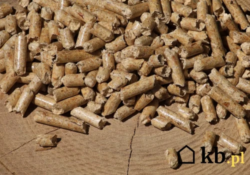 450 tysięcy gospodarstw domowych i zaledwie 1,17 mln ton produkcji. Polski rynek pelletu zderzył się ze ścianą