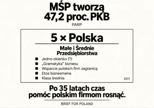 5 × Polska. MŚP tworzą 47,2 proc. PKB. Dlaczego tak trudno polskim firmom rosnąć?
