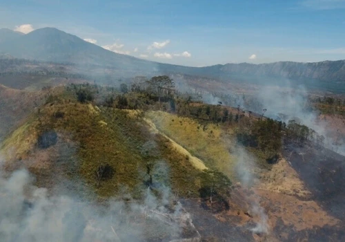 El Niño pogłębia suszę w Indonezji. Płoną torfowiska i zaczyna brakować wody