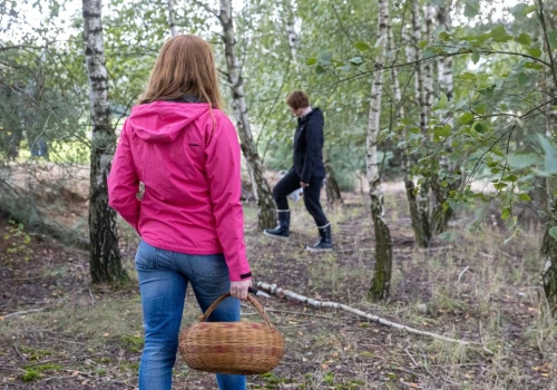 Grzybiarze przecierają oczy. Ten „Amerykanin” pojawia się w polskich lasach