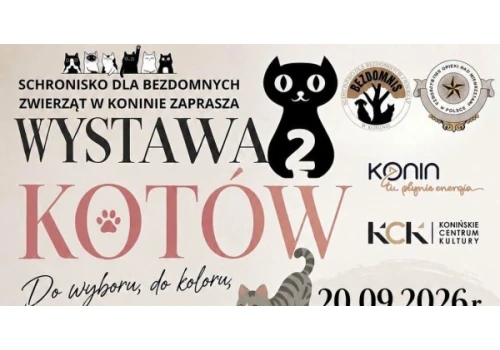 Kocia wystawa przełożona. Powodem są prace remontowe w KCK