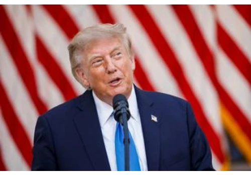 Trump zachwycony wynikiem AfD. 